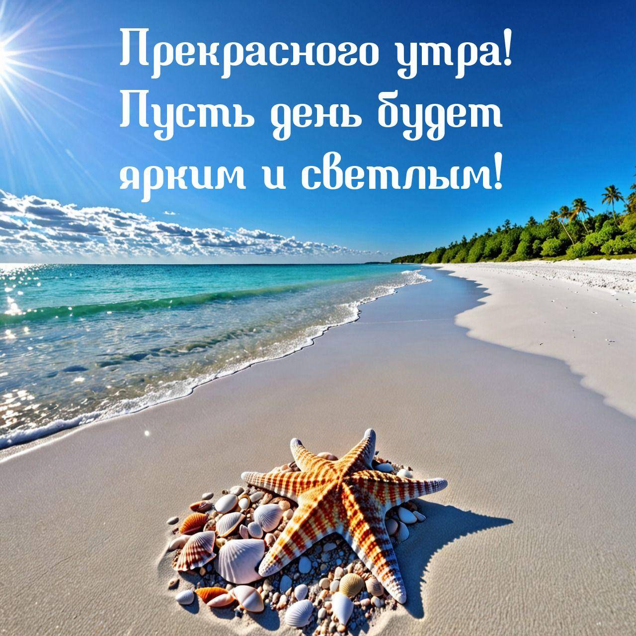 Белоснежный пляж, море, ракушки и морская звезда