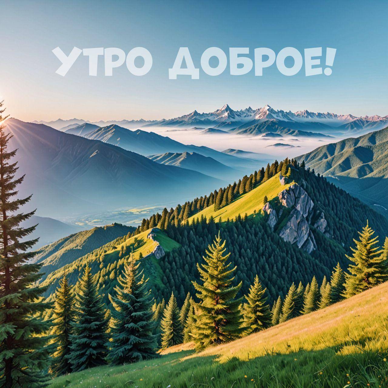 Панорама гор, зеленые хвойные деревья, туман
