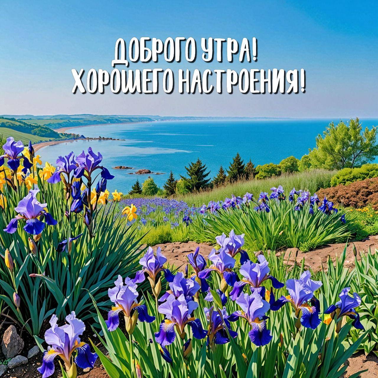 Поле ирисов на переднем плане, морской пейзаж на заднем