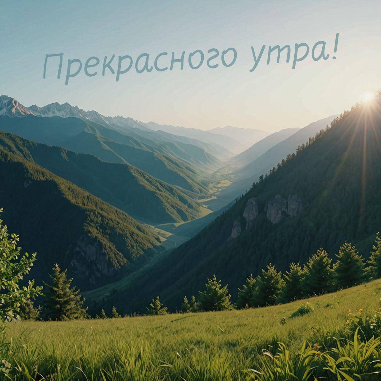 Зеленые горы, деревья, трава, рассвет