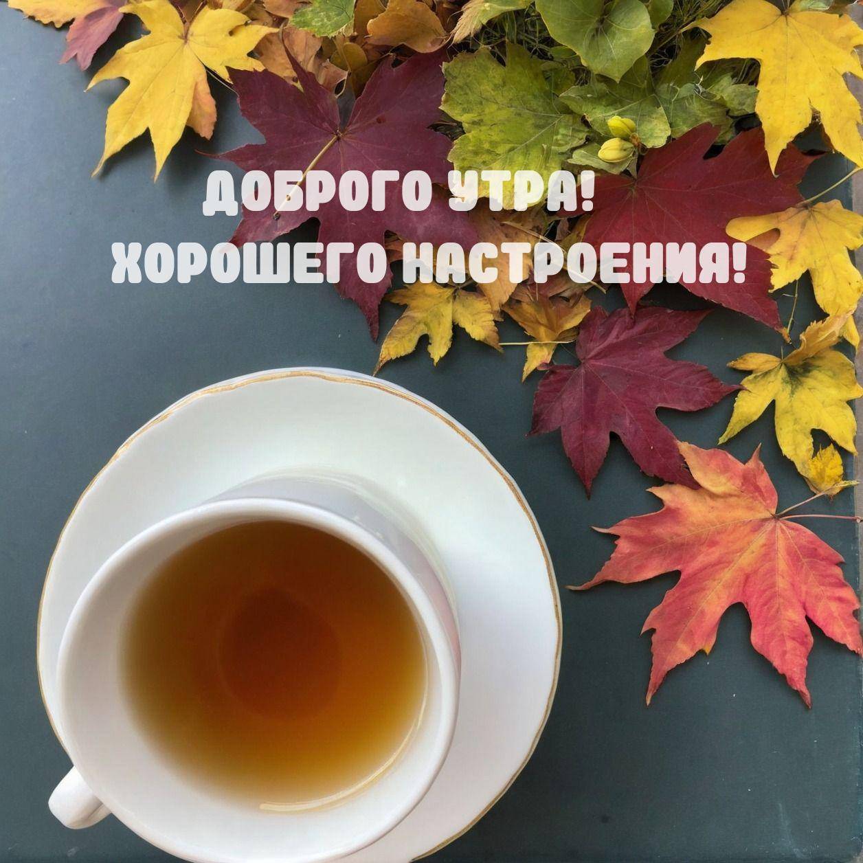Чашка чая с блюдцем, окруженная осенними листьями