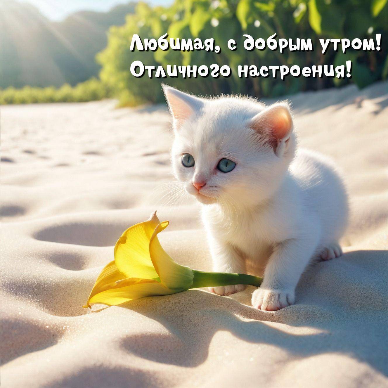 Белый котенок смотрит на желтый цветок на песке
