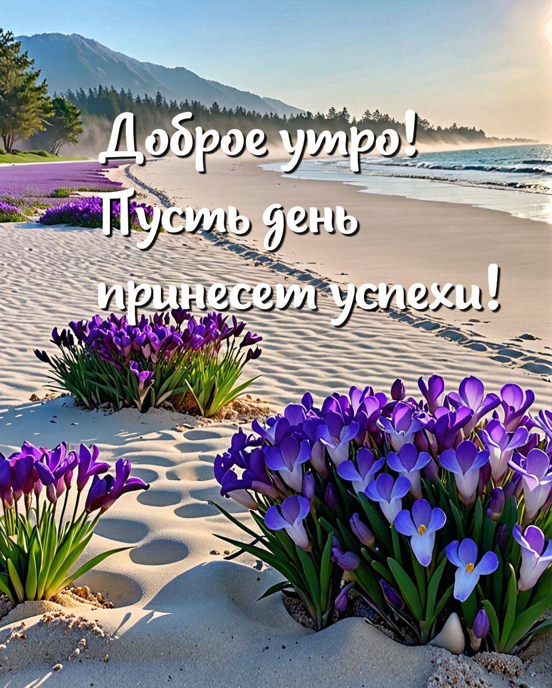 Пляж с фиолетовыми цветами, песчаный берег и туманный фон