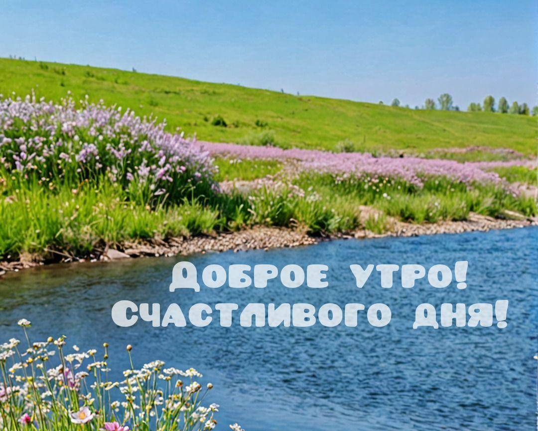 Река с цветущими берегами под голубым небом