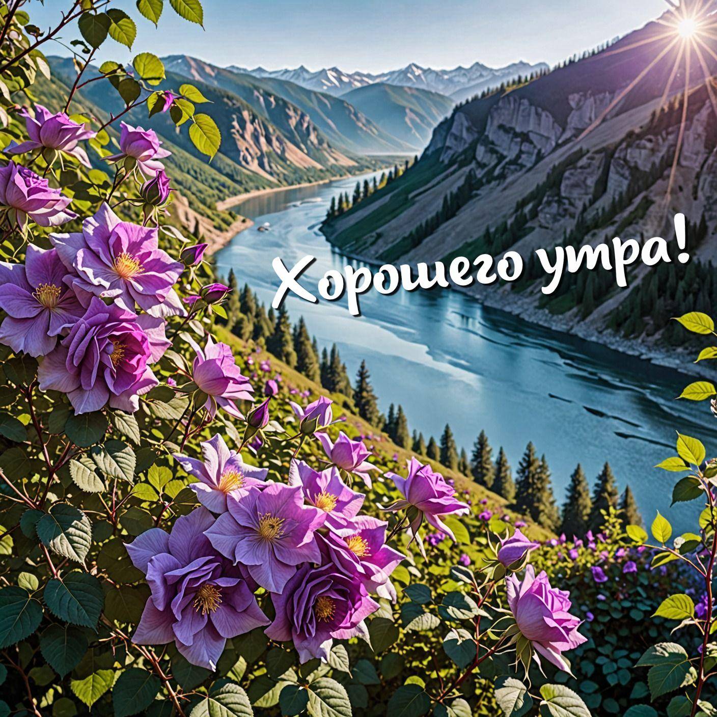 Река среди гор, цветы на переднем плане