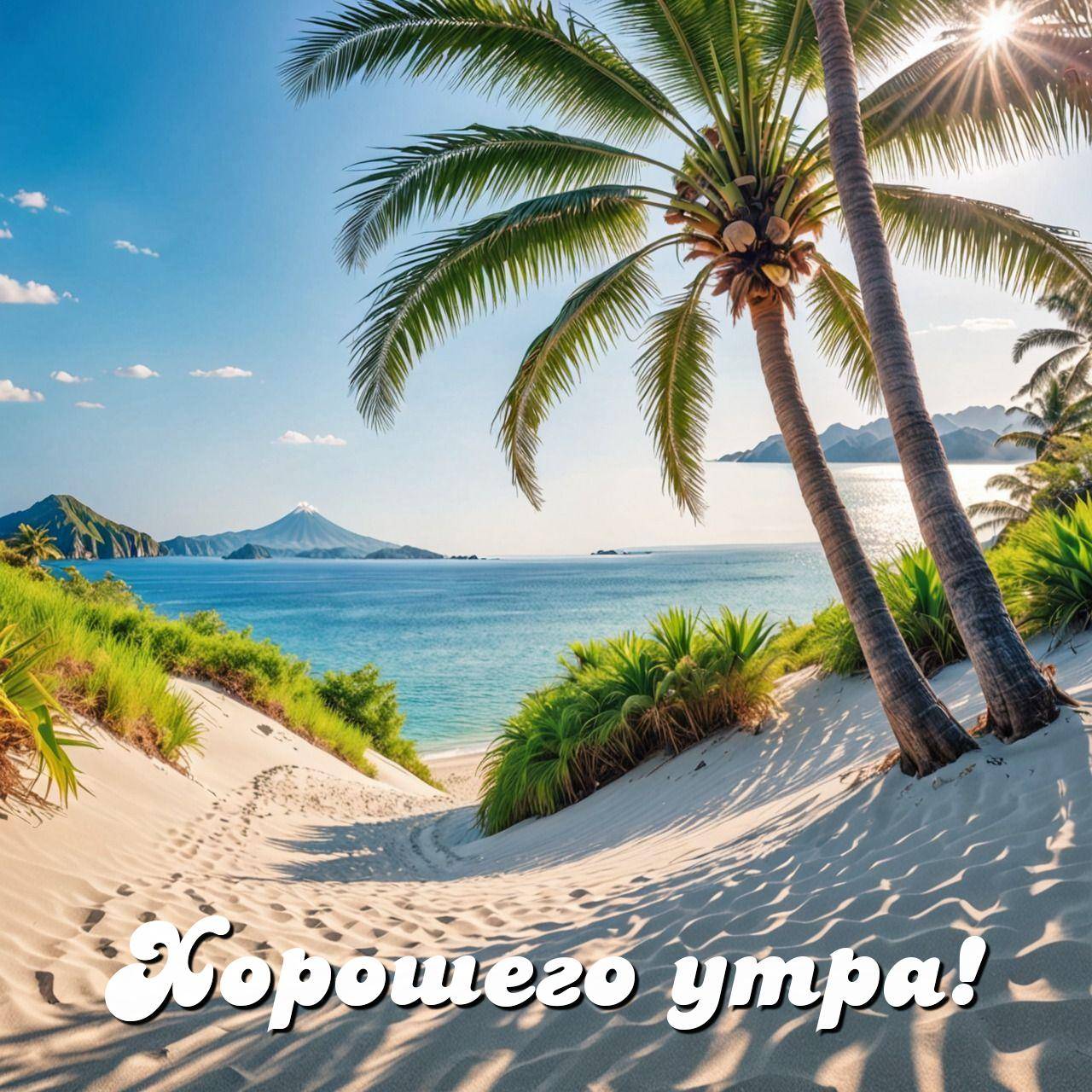 Тропический пляж, пальмы, море, голубое небо