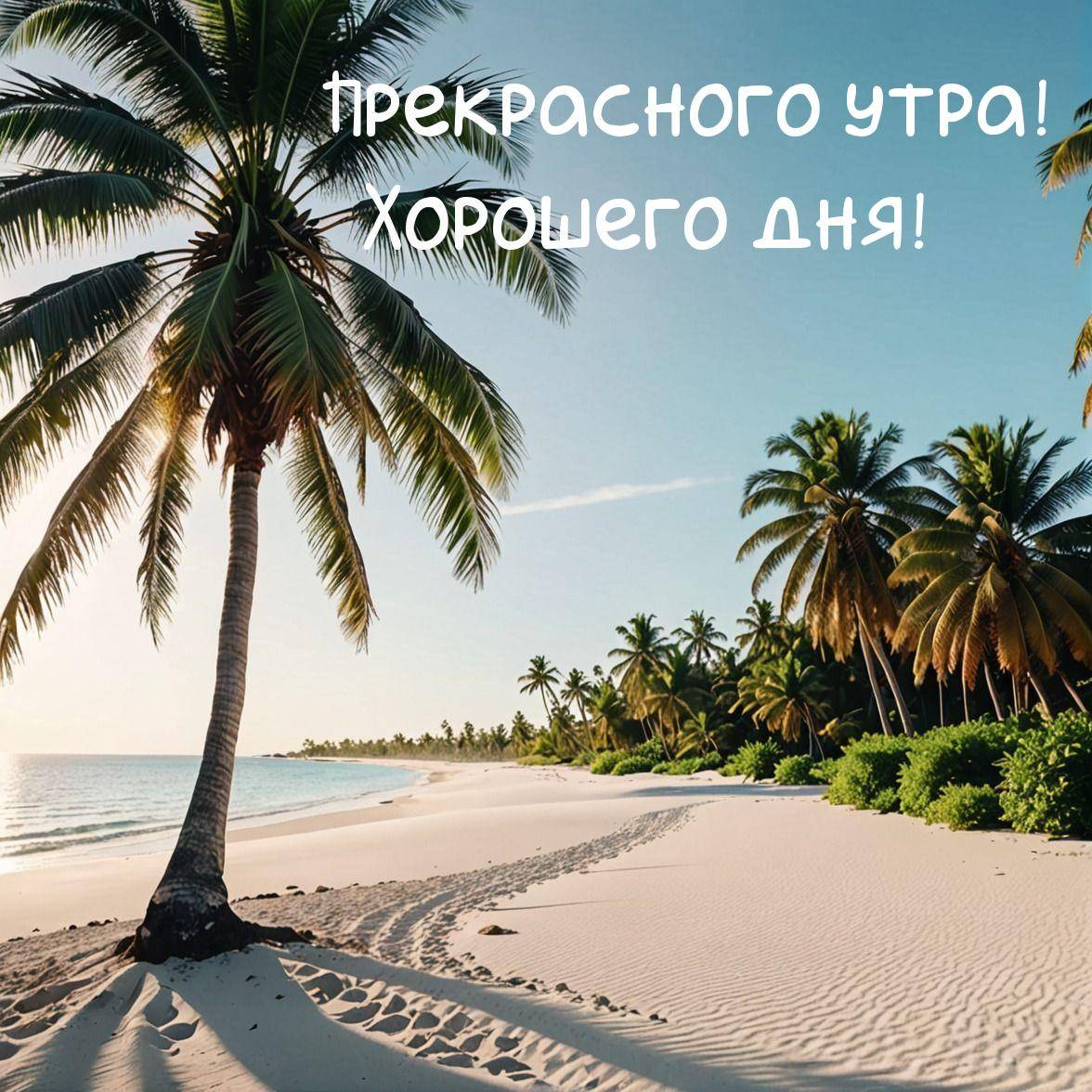 Тропический пляж с пальмами и белым песком