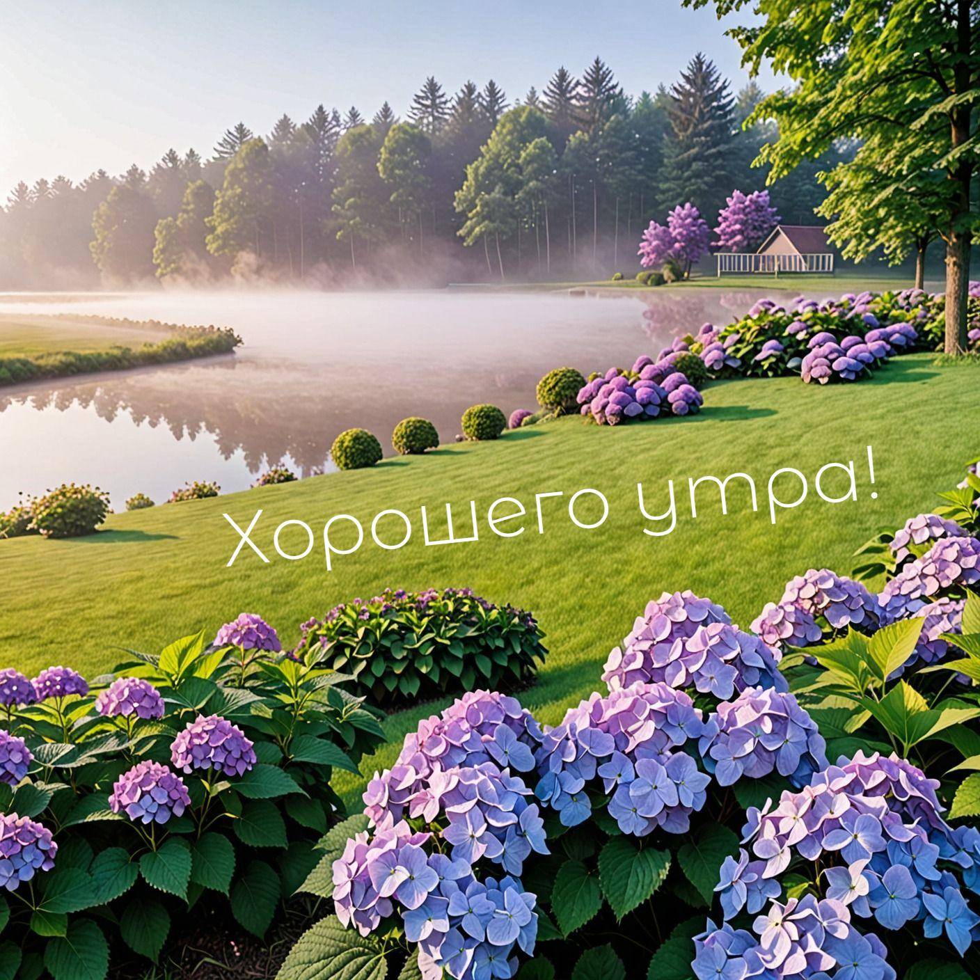 Утренний туман над озером, гидрангеи, зеленый газон