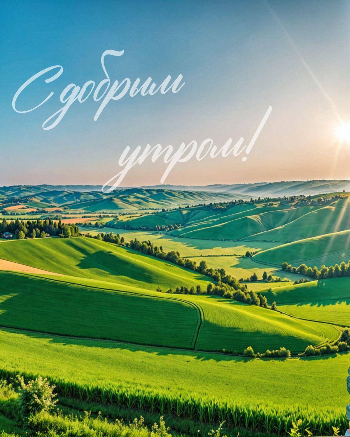 Зеленые холмы под ярким солнцем