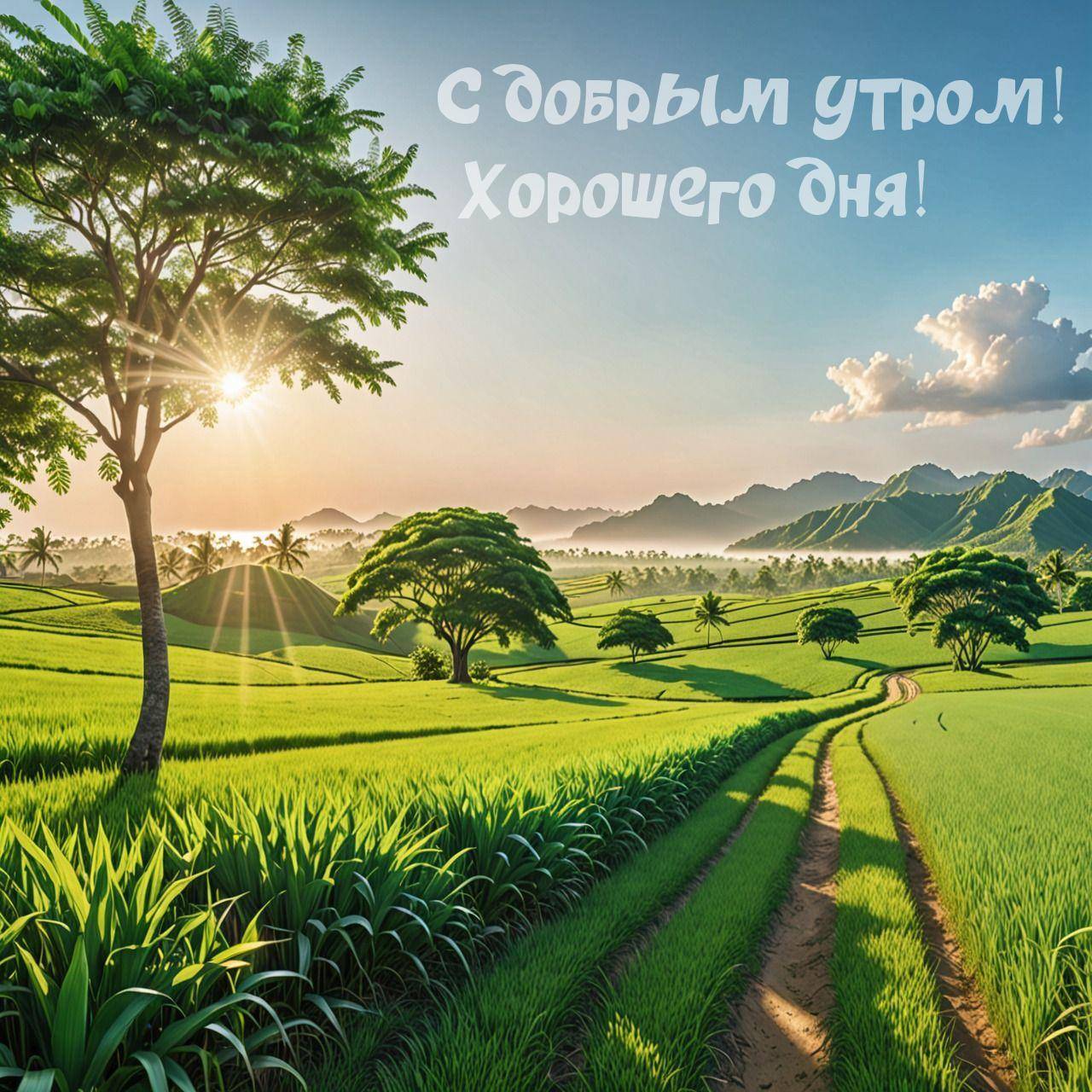 Зеленые поля с деревом на рассвете