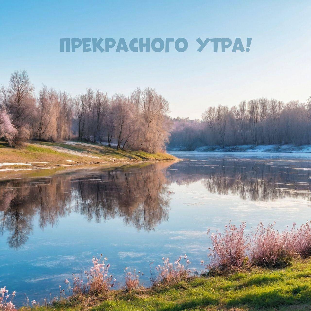 Отражение деревьев в реке, яркие кусты, утренний свет