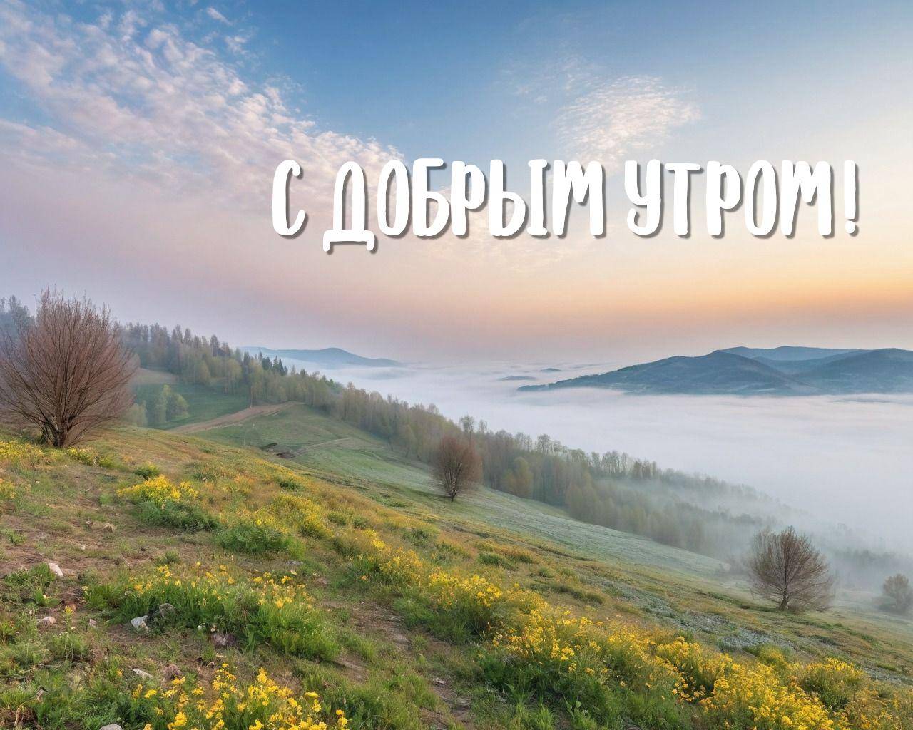 Пейзаж с холмами, туманом и цветущими растениями на переднем плане