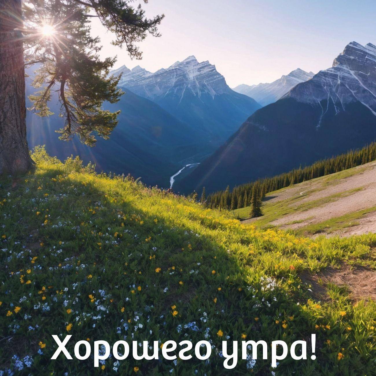 Пейзаж с цветущим лугом и горами вдалеке