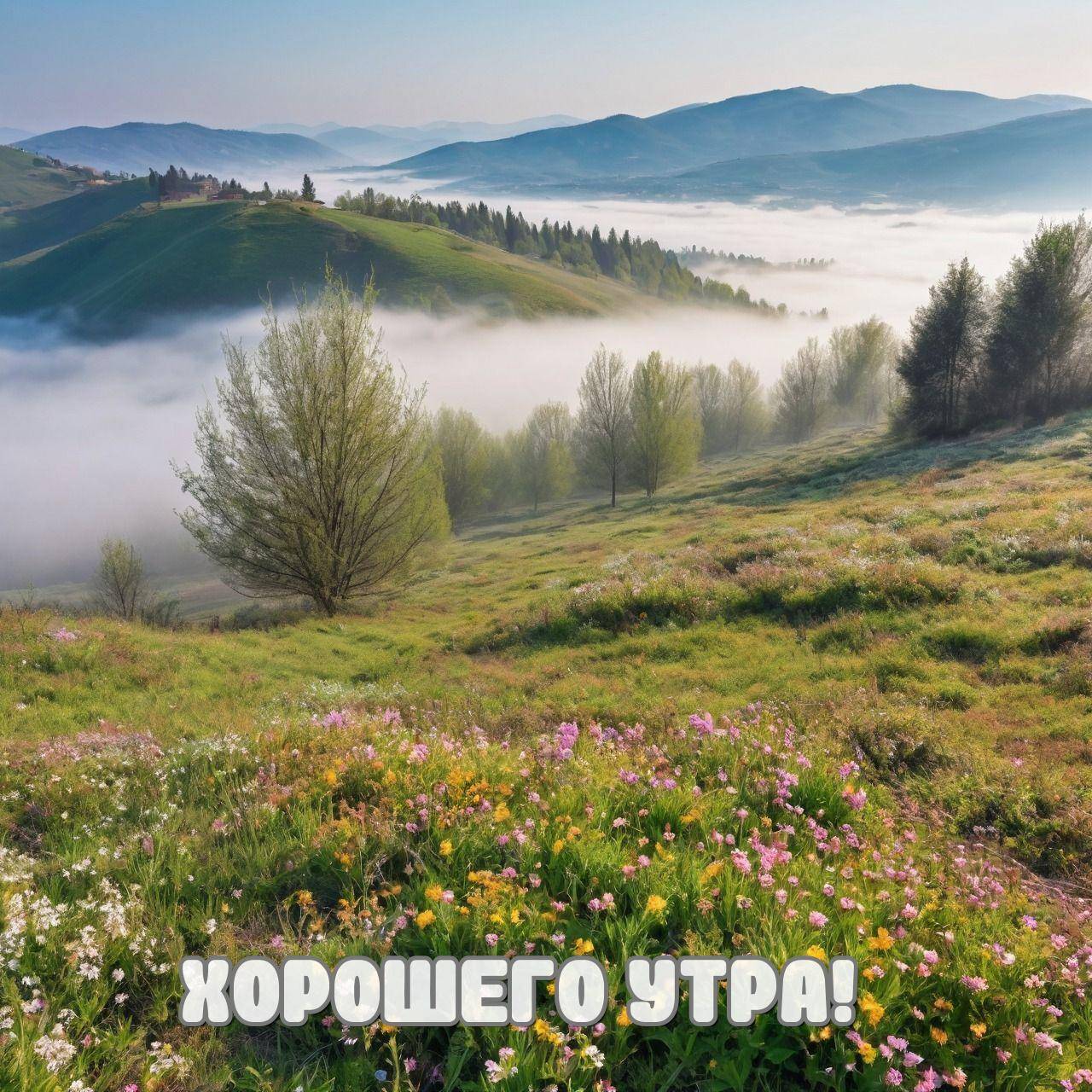 Пейзаж с туманом, холмы, деревья и цветы на переднем плане