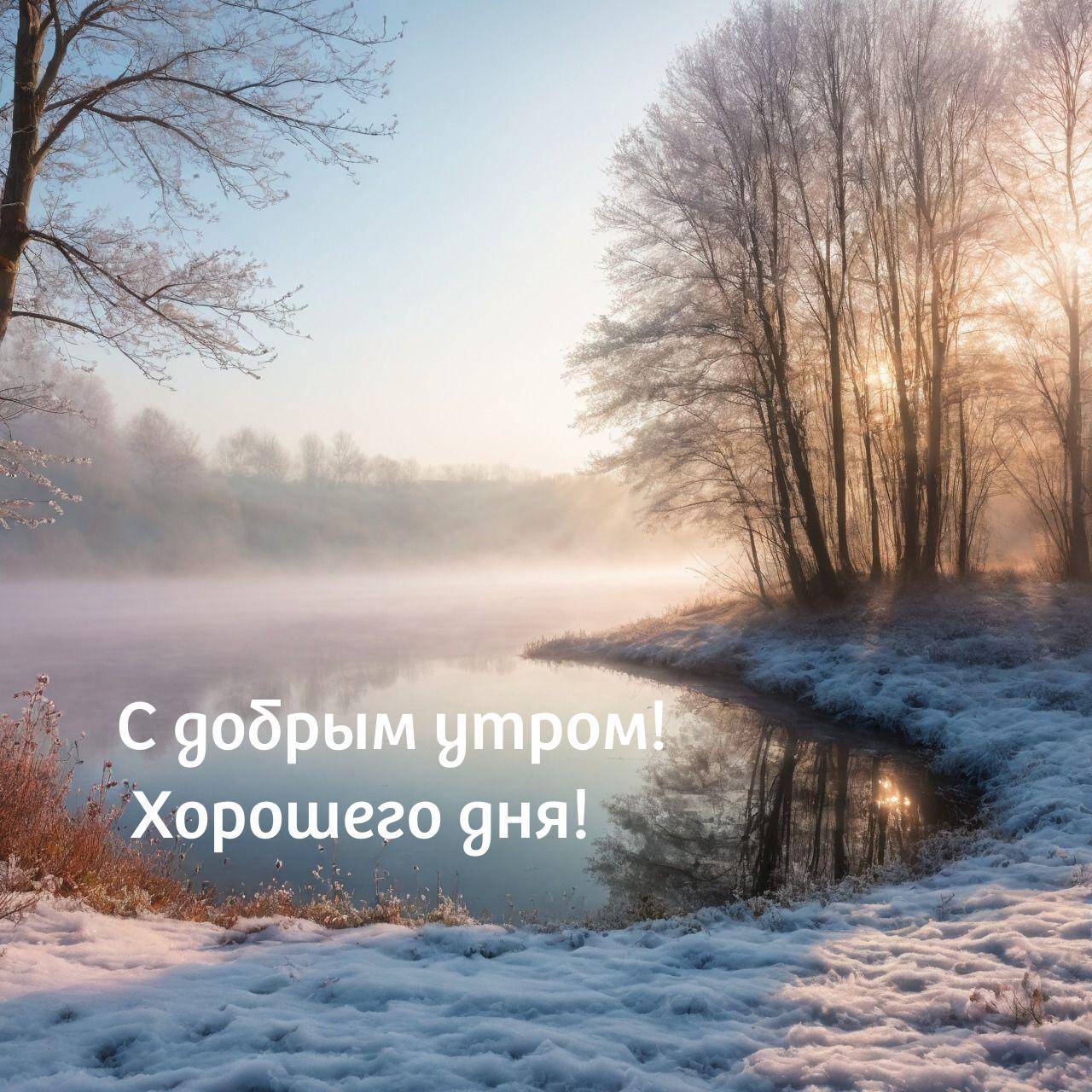 Заснеженный берег и деревья у воды с туманом